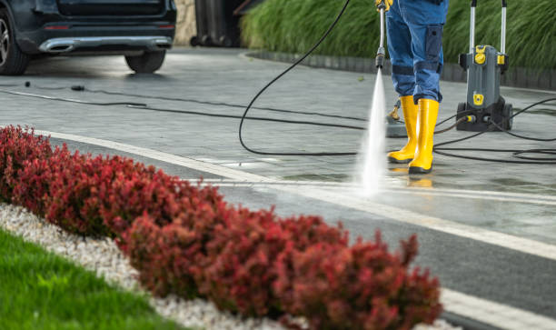 Best Sidewalk and Walkway Cleaning  in Mayfield Heights, OH